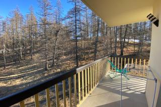06CO beautiful apartment at the foot of the slopes with balcony - Valberg - 4