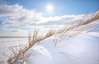 ROEWERS Privathotel & Spa - 7