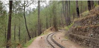3 BHK Serviced Apartment Kasauli I Open Air Lawn & Roof top I Bonfire I Nature Walk I Memorable I By Exotic Stays - Kasauli - 2