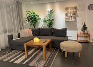 Große schöne Ferienwohnung mit kleinem Garten im Weinort Randersacker - Randersacker - 0