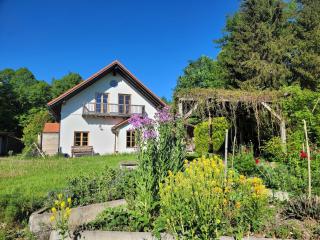 Helles Landhaus auf Waldlichtung - 8