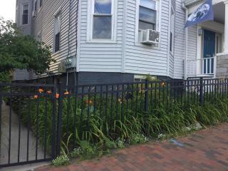 Peaceful Oasis on Munjoy Hill 2nd flr 3BR parking - 9