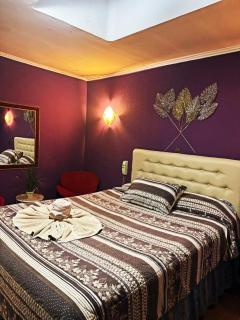 Hotel Toesca, cercano a Movistar Arena - Santiago - 7