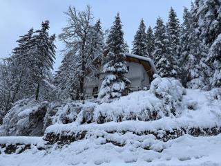 Villa Gusto, 3km from Pamporovo - Pamporovo - 0