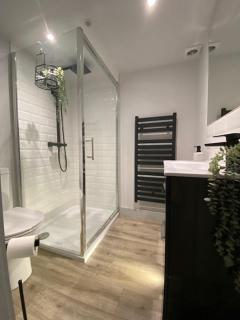 Loft 6 - Apartment near Stansted Airport - Bishops Stortford - 3