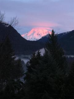 Alpine Vista - Packwood - 9