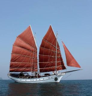 Wonderful boat travel - 4