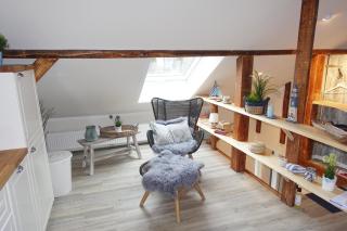 Meer-Zeit-OG-Seepferdchen - 9