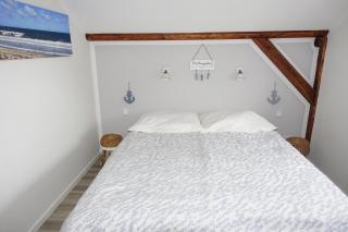 Meer-Zeit-OG-Seepferdchen - Kappeln - 5
