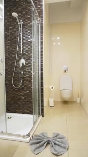 Quiet cozy apartment in the center - Prague - 7