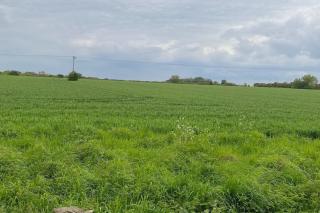Breach Barn, a very bright spacious home from home - Pewsey - 1