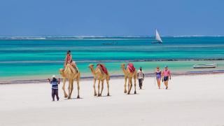 Villa Becky - Diani Beach - Diani Beach - 7