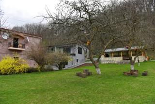 GreenWood Cottage - Dilijan - 4