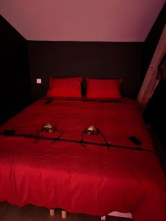 La secret room - Pont-de-Veyle - 9