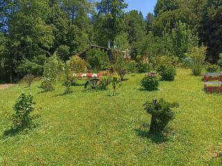 Cabaña Osanvile - 7