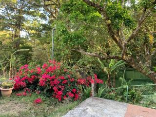 Globi Lodge #6 - Monteverde - 9