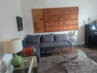 Plateau apartment with garden - Montréal - 5
