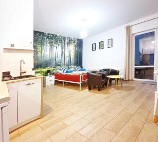 Apartament 1 przy Termach Cieplickich - Jelenia Góra - 8