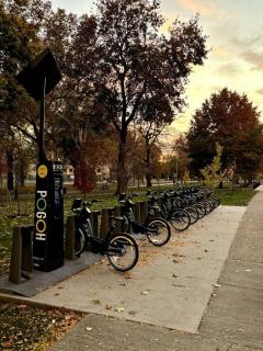 Near Stadium 2 Bdrm House w Fire Pit Free WiFi - Pittsburgh - 6