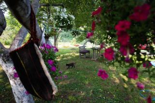 Minja&Manja - Mojkovac - 6