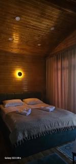 Cottage Talu in Mestia - 7