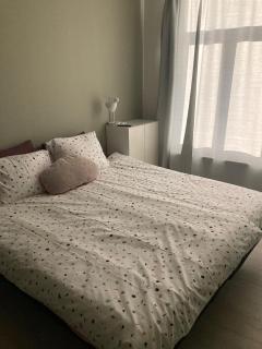 Bed and Bert - 5