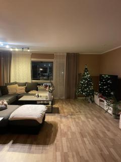 2 etasjers leilighet - Trondheim - 8