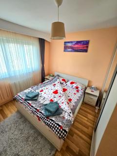 Happy Home Sibiu - Sibiu - 0