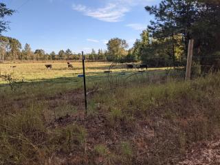 Clayhills - - 8