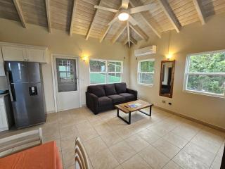 Caribbean Sea View Cottage - 1