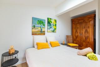 Le Grand Jany Spacious T4 with Terrace - Castanet-Tolosan - 4