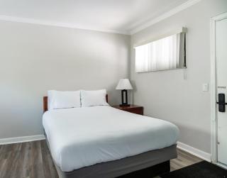 Comfortable Brownstown Stay – Queen Bed Private Bath - Woodhaven - 8