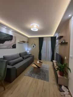 Apartman Silvija 2 Divčibare - Divčibare - 8