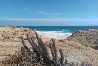 Ocean view suites - Cabo San Lucas - 1