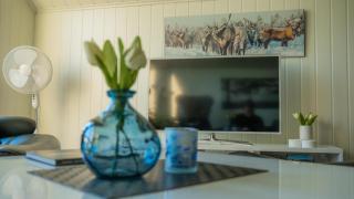 Great loft in scenic surroundings - Alta - 6