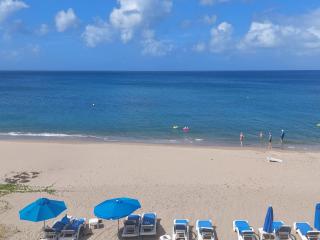 The Hamilton Beach Villas & Spa - Nevis - 4