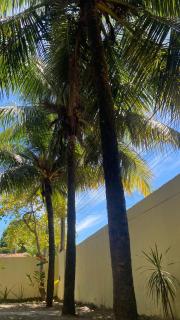 Mansão nordestina barra grande Ba - 8