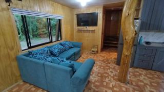 Cabaña en el Arenal - Lago Ranco - 1