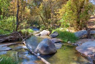 Tranquility House-Riverfront-Fireplace-Sleeps six - Oakhurst - 0