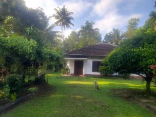 Eco Space Villa - Weligama - 6