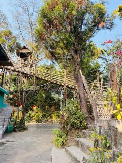 Cozyo Stays Boutique Home Mawlynnong - Mawlynnong - 3