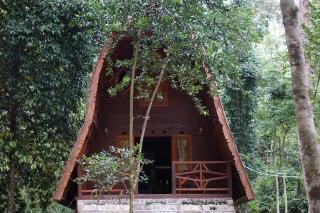 Eco Conservation Landak Luxury Tents - Bukit Lawang - 2