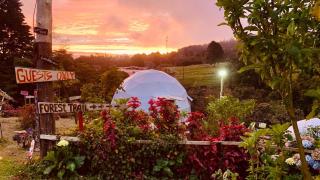 Poas Volcano Observatory Lodge & Glamping - 7