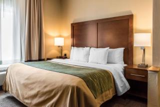 Comfort Inn Lancaster County - Columbia - 6
