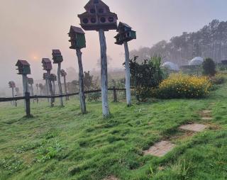 An Nhiên Garden Lodge - Vườn An Nhiên - - 1