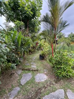 Ubud Leke-Leke Guesthouse - Rumah Kayu - Gianyar - 5