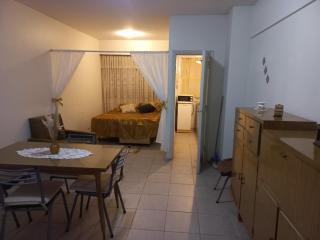 A macro-center setting - Mar del Plata - 6