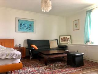 Zurich Seesicht Zentral - Doppelzimmer - Kilchberg - 9