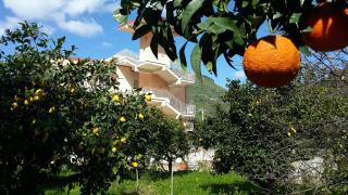 Residence Villa Mare Taormina - Letojanni - 7