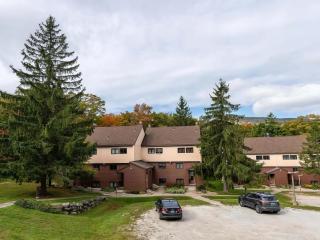 BearHaven- AC, Close to Resort, Bike to Mountain - Killington - 5